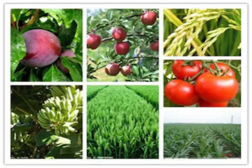 اسید سولفوریک برای درخت